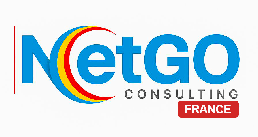 Netgo Consulting